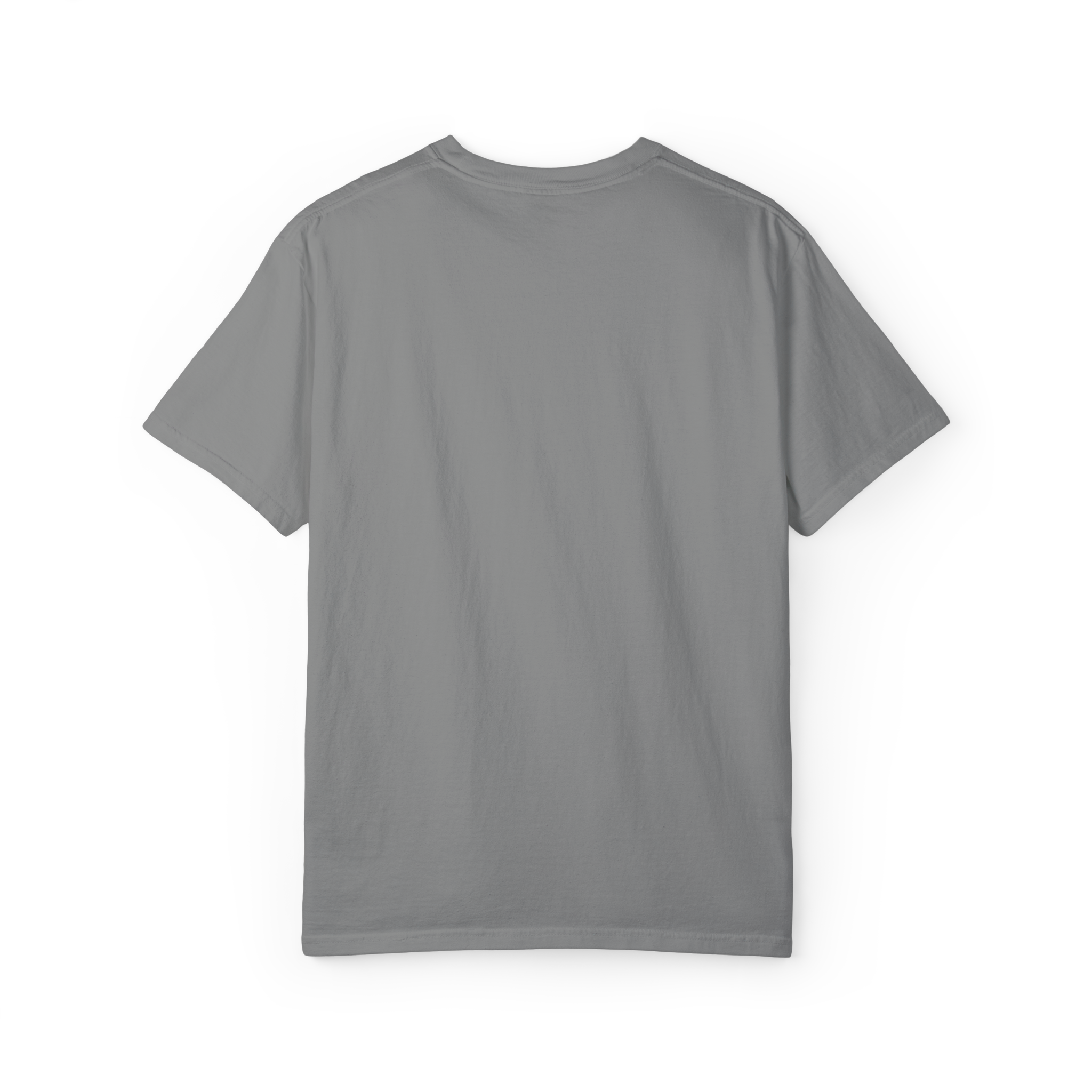 Sunshineshirt – Grau, T-Shirt mit Stick